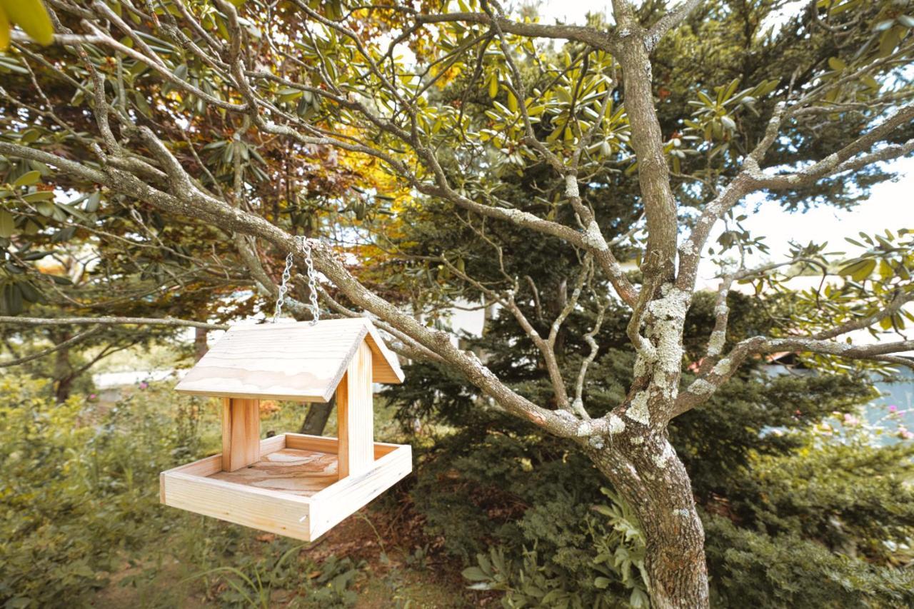 Maple Farm Villa Asahikawa Exterior photo